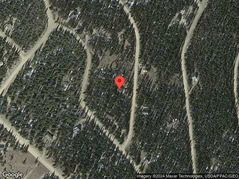 Grizzly, FAIRPLAY, CO 80440