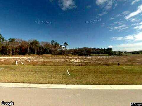 Ligustrum, ALVA, FL 33920