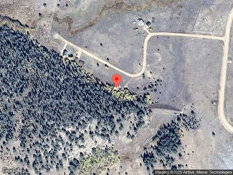 Forest, FLORISSANT, CO 80816