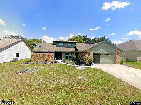 Smoketree, DADE CITY, FL 33523
