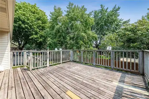 Jasmine, COTTAGE GROVE, MN 55016