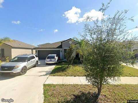 Imperial Purple, WIMAUMA, FL 33598