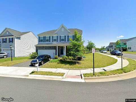 Cotton Blossom, FREDERICKSBURG, VA 22405