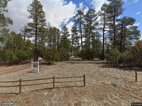 Pine Rim, OVERGAARD, AZ 85933