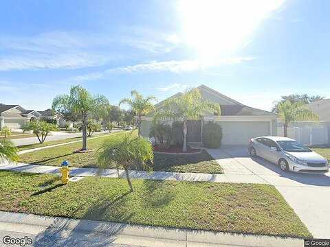 Soaring Eagle, RIVERVIEW, FL 33578