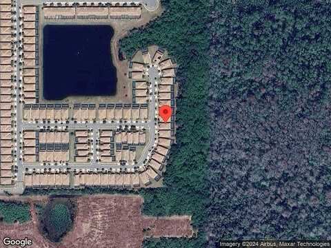 Bengal, KISSIMMEE, FL 34747
