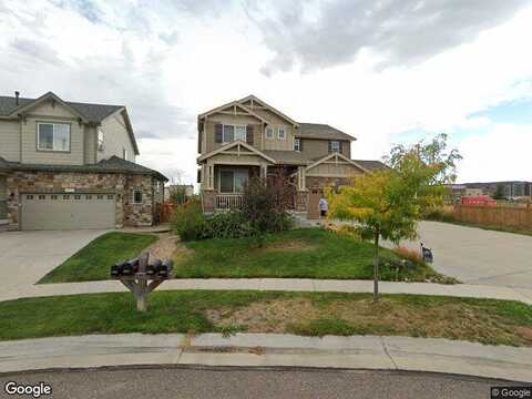 Chicory, BRIGHTON, CO 80601