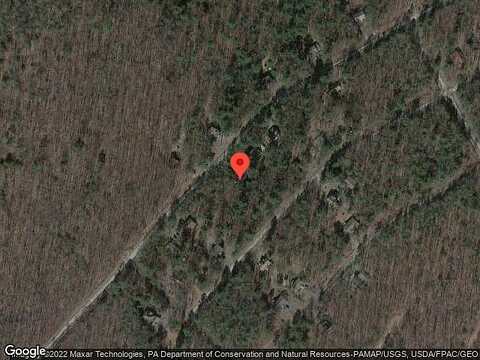 Fox, DINGMANS FERRY, PA 18328