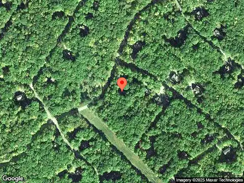 Paper Birch, TAFTON, PA 18464