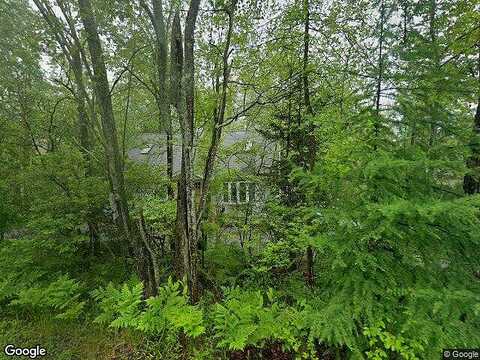 Nadine, POCONO SUMMIT, PA 18346