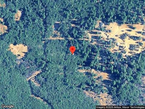 Scrub Oak, GRASS VALLEY, CA 95945