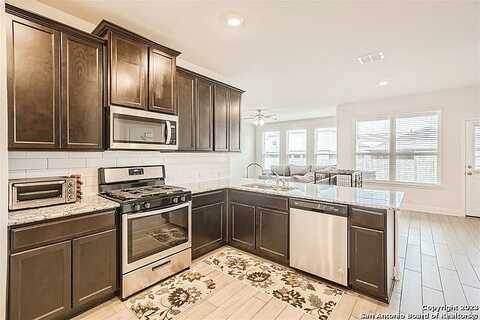 Bicknell Sedge, SAN ANTONIO, TX 78254