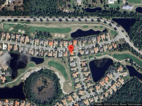 Amaryllis, VENICE, FL 34292