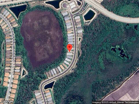 Brassica, NORTH PORT, FL 34289