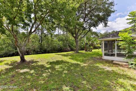 Arash, PORT ORANGE, FL 32128