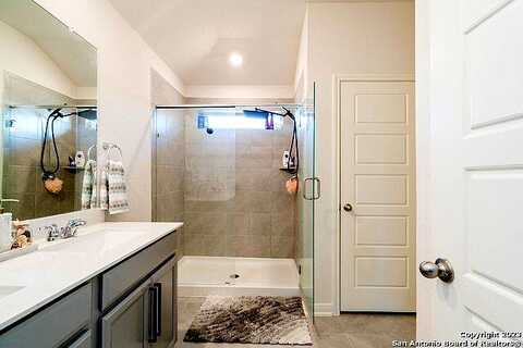 Arcadian Lily, SAN ANTONIO, TX 78245