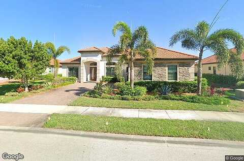 Whisk Fern, VENICE, FL 34293