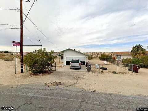 Lupine, TWENTYNINE PALMS, CA 92277