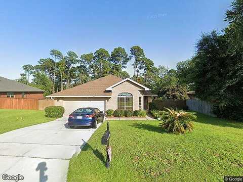 Parakeet, PENSACOLA, FL 32503