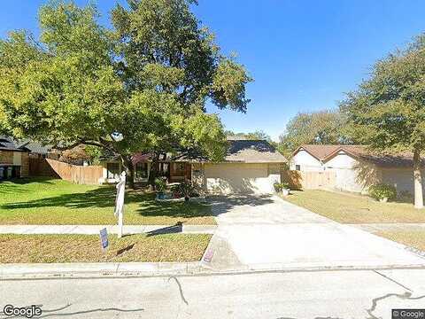 Silver Fox, SAN ANTONIO, TX 78247