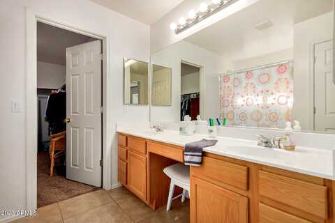 Falcon, GILBERT, AZ 85295