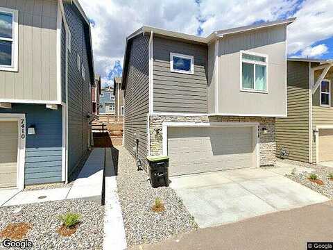 Gorgeted Quail, COLORADO SPRINGS, CO 80923