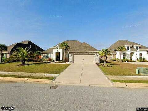 Foxtail Palm, GULF BREEZE, FL 32563