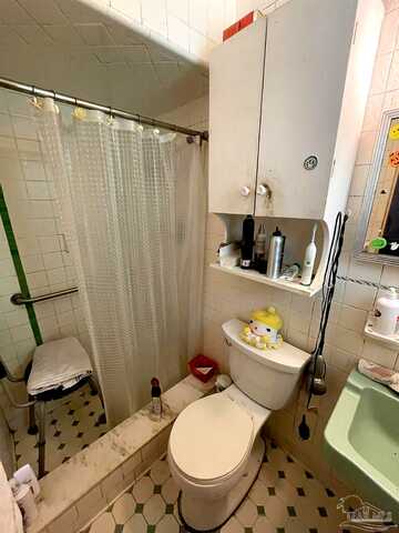 Camelia, GULF BREEZE, FL 32561