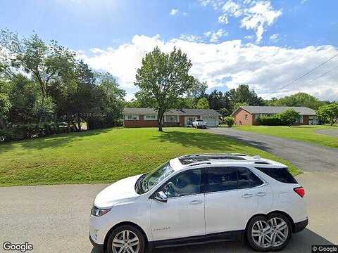 Fox, WINCHESTER, VA 22603