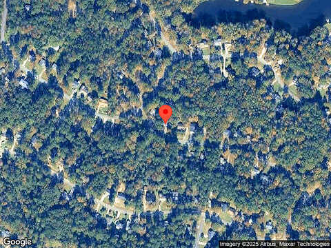 Bristle Cone, MACON, GA 31220