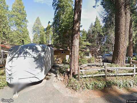 Maple, POLLOCK PINES, CA 95726
