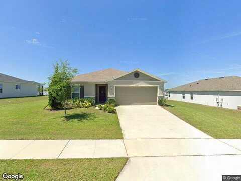 Crossandra, MASCOTTE, FL 34753