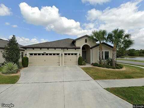 Briske Morning, LAND O LAKES, FL 34637
