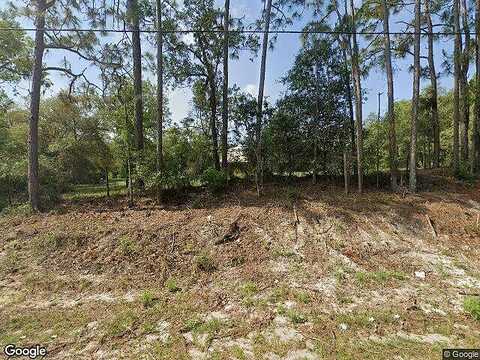 155Th, DUNNELLON, FL 34432