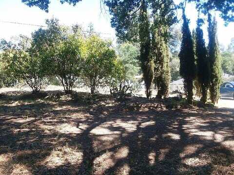 Baldwin, VALLEY SPRINGS, CA 95252