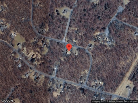 Mallard, BUSHKILL, PA 18324