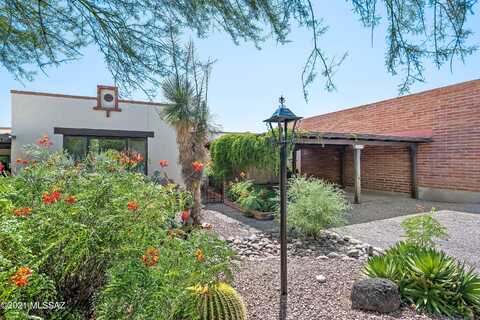 Cerrada Adelita, TUCSON, AZ 85718