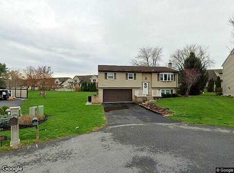 Buttercup, EPHRATA, PA 17522