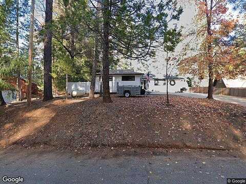 Daisy, POLLOCK PINES, CA 95726