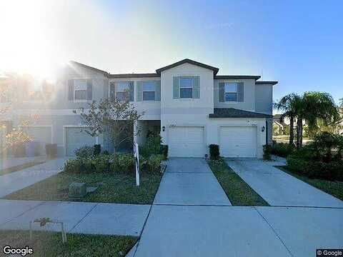 Sweet Alyssum, TAMPA, FL 33619