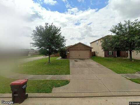 Wild Duck, HOCKLEY, TX 77447