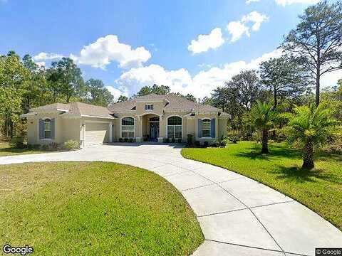 Daisy, HOMOSASSA, FL 34446