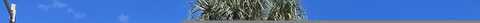 Pheasant, FORT PIERCE, FL 34950