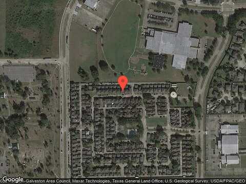 Trumpetvine, HOUSTON, TX 77083
