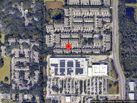 Pink Palmata, RIVERVIEW, FL 33578
