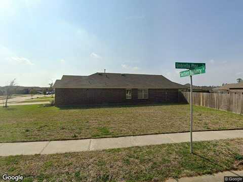 Southern Bayberry, TOMBALL, TX 77375