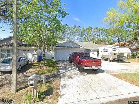 Camino Villa, TAMPA, FL 33635