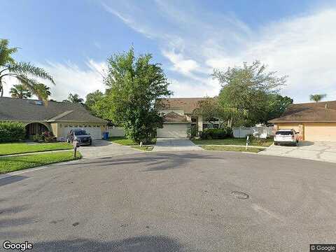 Fieldflower, TAMPA, FL 33635