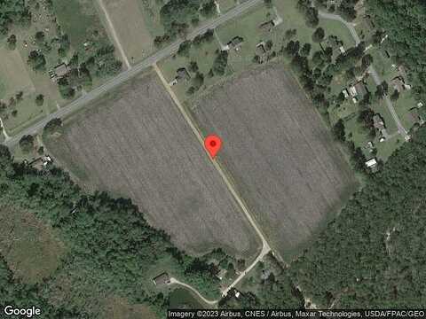 Mendes Plum, GLENNVILLE, GA 30427
