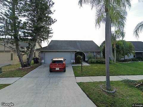 Boysenberry, TAMPA, FL 33635